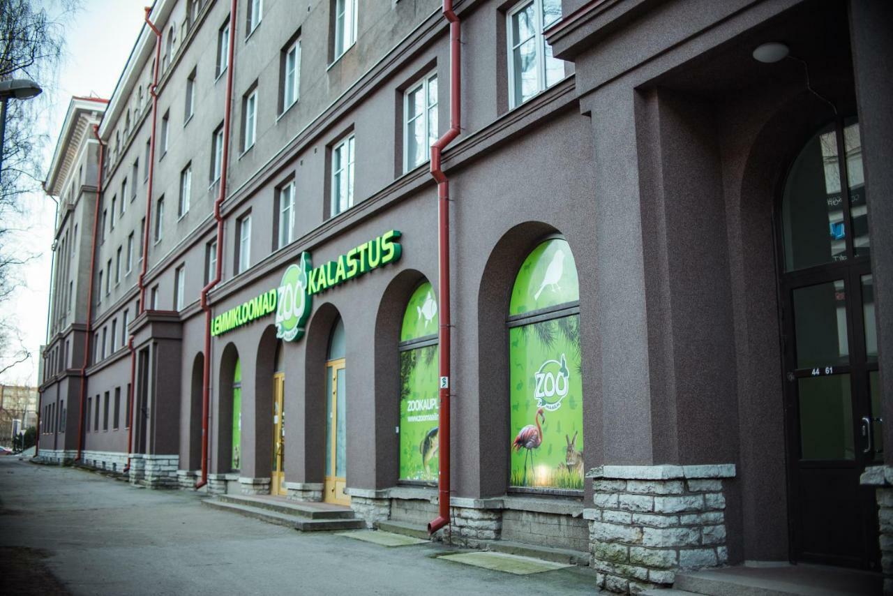 Large Studio Downtown Tallinn Buitenkant foto